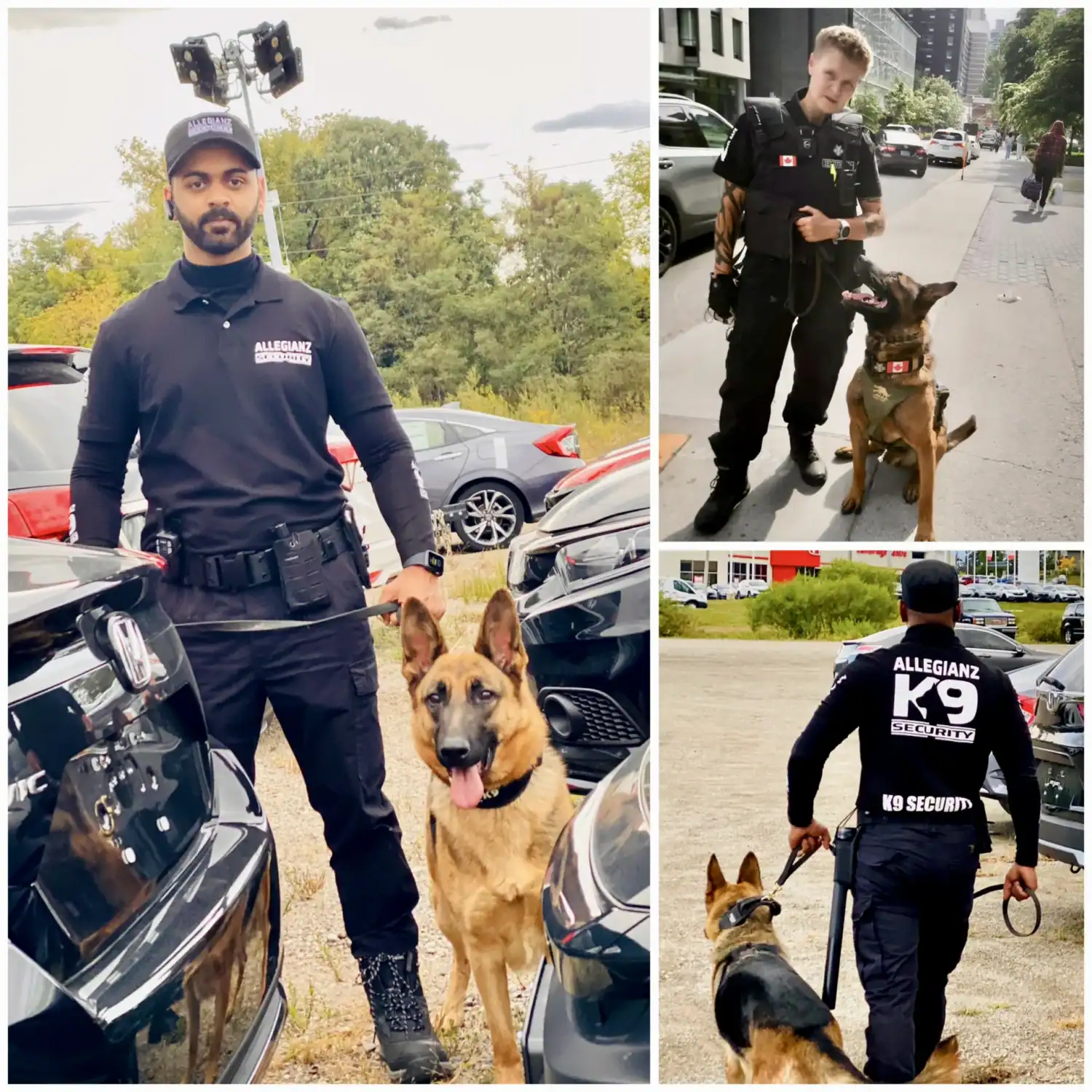 AK9-K9SECURITY-OWNEDBY-ALLEGIANZK9SECURITY